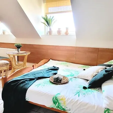 Konukevi Kokosek Goscinne