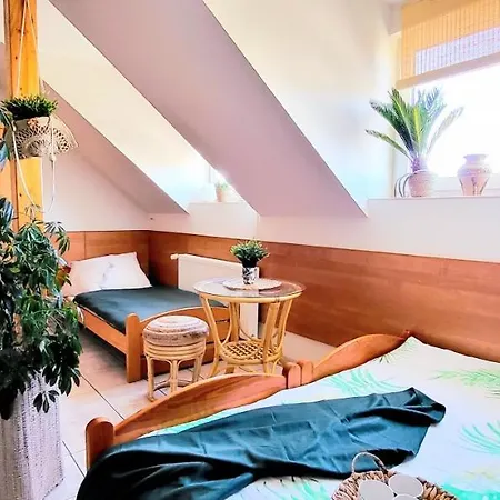 Kokosek Goscinne Guest house Mielno (Koszalin)