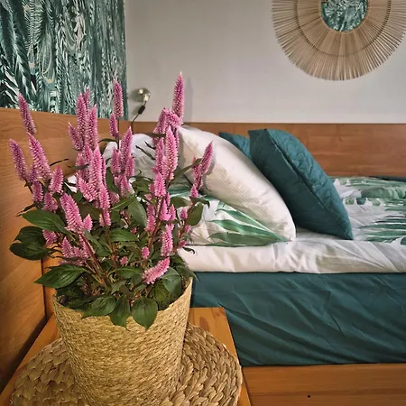 Konukevi Kokosek Goscinne Mielno (Koszalin)