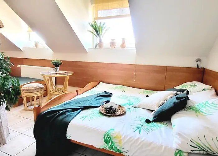 Casa de hóspedes Kokosek Goscinne