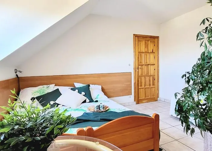 Casa de hóspedes Kokosek Goscinne