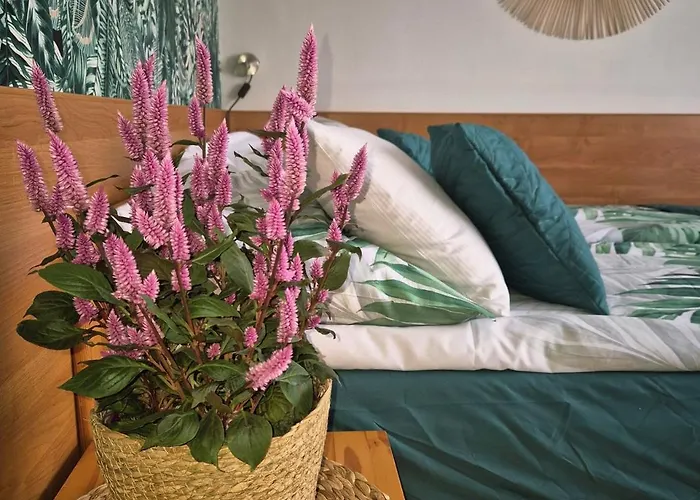 Casa de hóspedes Kokosek Goscinne Mielno (Koszalin)